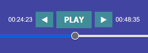 Audio Player Controls